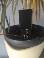 Messung Bodenfeuchte V2.5